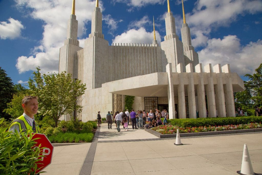 Careful at the Crosswalk