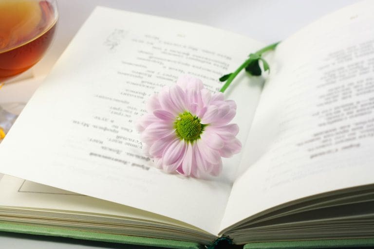 poetry book