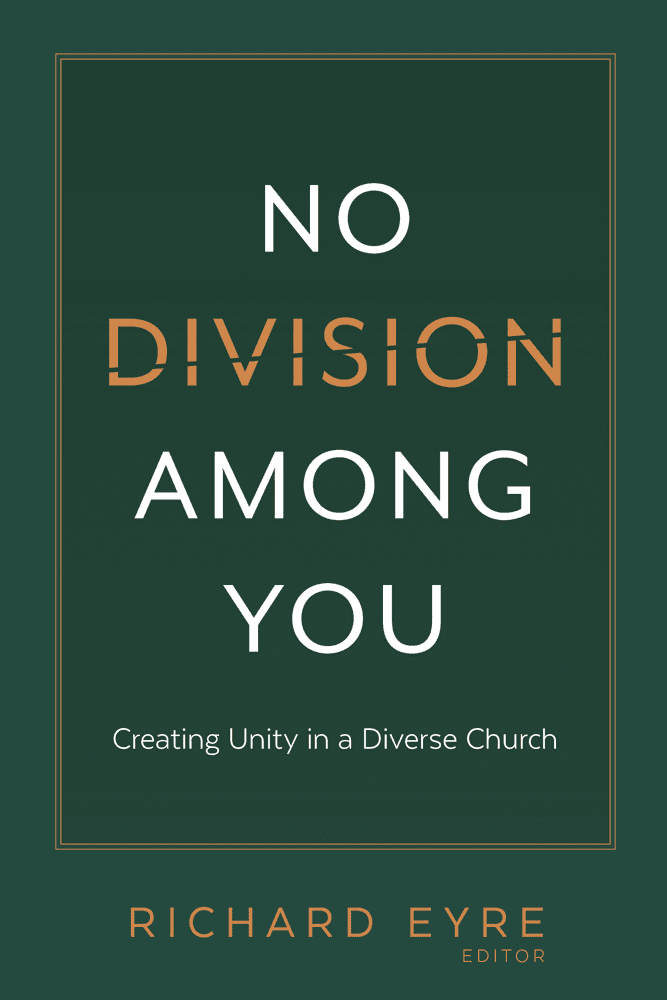 No Division Among You book cover