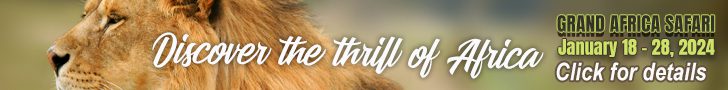 Discover the Thrill of Africa - CLICK FOR DETAILS
