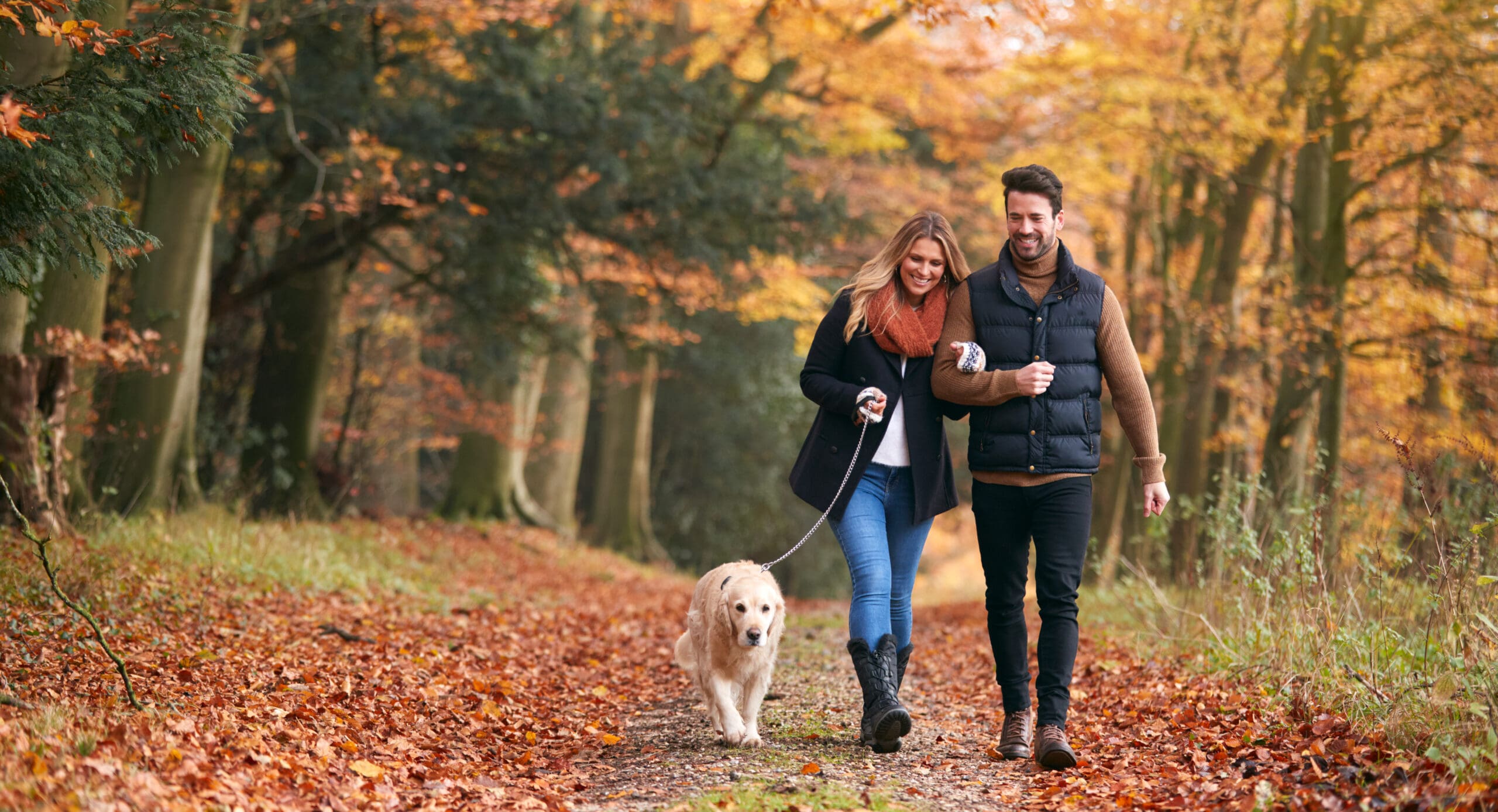 Couple walking with a dog through autumn woods, symbolizing lasting love and resilience in marriage.