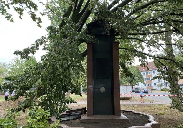A tree fallen on a monument after a storm, representing life's sudden trials."