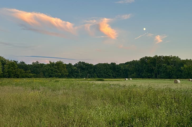 A peaceful field at Hawn’s Mill under a sky filled with soft pink clouds and the moonrise, symbolizes the serene evening before tragedy struck in 1838.