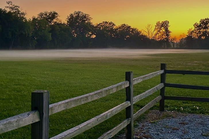 The fence line at Hawn’s Mill with fog creeping across the field, a haunting scene reminding visitors of the massacre that occurred here in 1838.