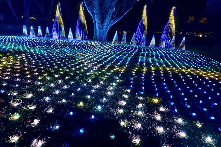 A dazzling Christmas light display with vibrant blue and white lights, showcasing the beauty of the season but missing the focus on Christ.