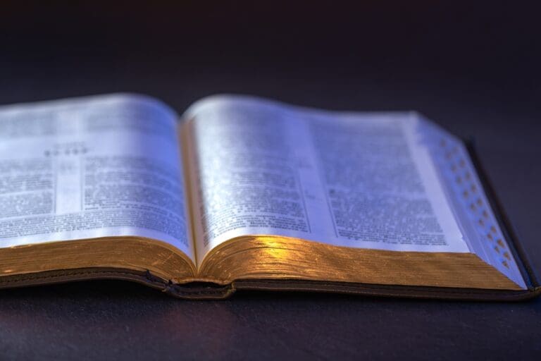 Open scriptures with gold-edged pages reflecting light, representing study of Doctrine and Covenants Section 29 and its themes of gathering, revelation, and accountability.