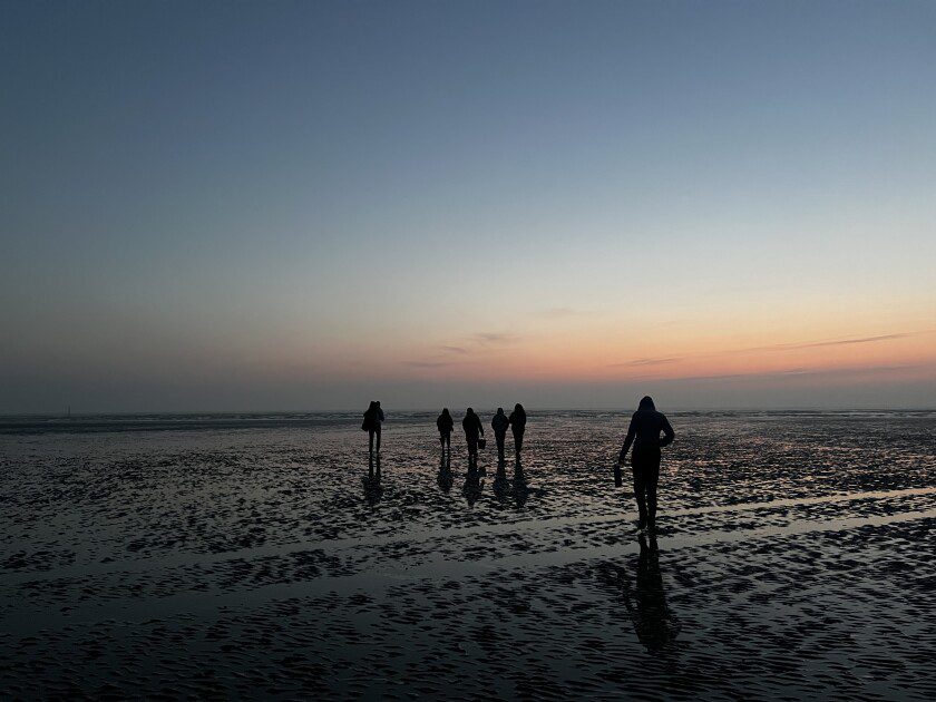 BYU geologists walk across a Normandy beach at sunrise to collect sand samples containing D-Day shrapnel for erosion research.