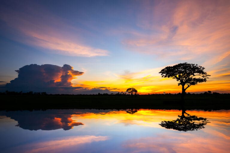 Sunrise in Lesotho over water with trees reflected, symbolizing peace and remembrance after the Lesotho bus accident.