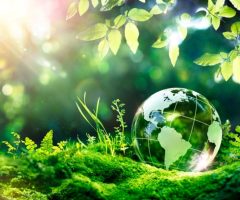 Transparent globe in green forest light symbolizing environmental stewardship and Latter-day Saint care for God’s creation