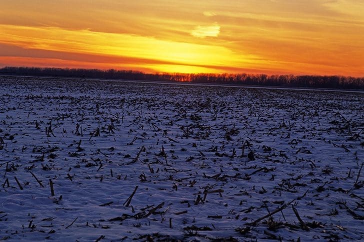 Winter sunrise over Missouri field symbolizing peace and covenant faith in D&C 98–101