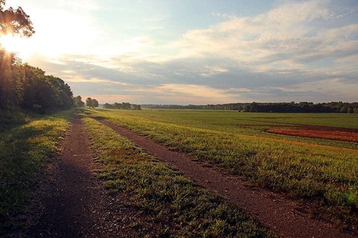 Sunset over Adam-ondi-Ahman fields with dirt path, symbolizing preparation to meet the Lord and the order of the Son of God in Doctrine and Covenants 106–108.