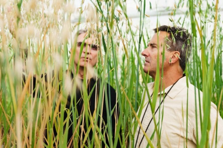 BYU researchers studying oat plants for oat genome research to improve oat breeding, genetic diversity, and sustainable agriculture.