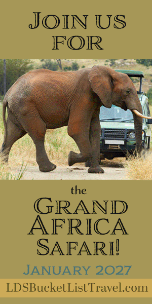 Join Us for the Grand Africa Safari 2027 - BOOK YOUR SPOT