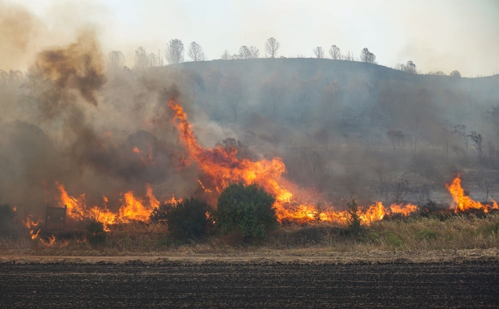 Wildfire spreading through dry brush during fire season showing the importance of wildfire preparedness and emergency evacuation planning.