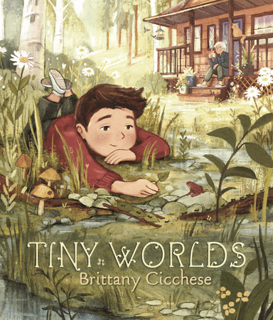 Illustrated cover of Tiny Worlds by Brittany Cicchese showing a young boy observing nature near his grandmother’s house, highlighting imagination and discovery in kids nature books.