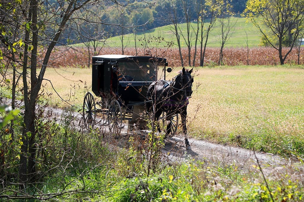 An Amish buggy travels along a rural road in Ohio, reflecting part of the Church History Tour experience through Amish country near Kirtland.