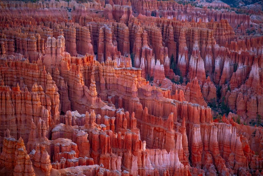 Dense red hoodoos glow in the evening light at Bryce Canyon as Mike Loveridge prepares for Paria Canyon and the deeper backcountry stages of the Ocean to Ice expedition.