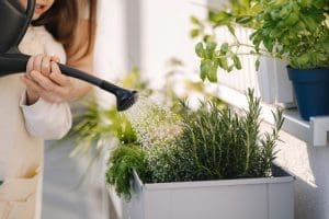 Young woman watering plants connected to a Mother’s Day story about family relationships and writing letters