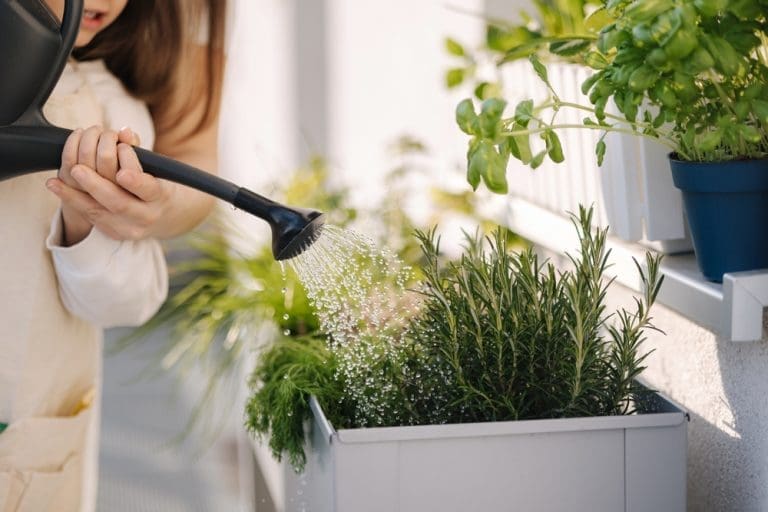 Young woman watering plants connected to a Mother’s Day story about family relationships and writing letters