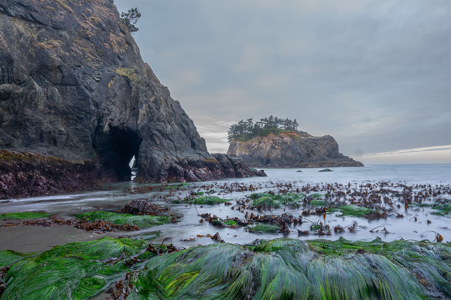 Seaweed-covered rocks and a hidden sea cave along the Oregon Coast at low tide. The winding shoreline reflects the unexpected discoveries and spiritual insights encountered during the Ocean to Ice expedition.