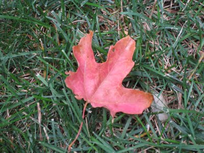 090928numbers clip image001