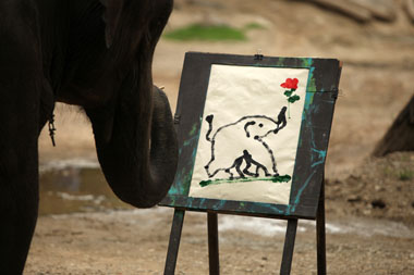 elephant2