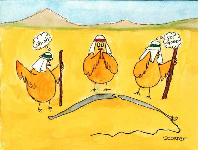 Cosper_Lehis_Chickens
