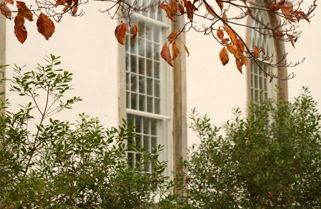 Nauvoo_Cover_Kelly_Ogden_opt-1_small