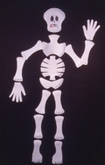 skeleton