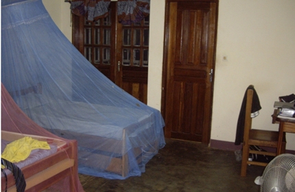 photo_3_part_two_mosquito_net-Large
