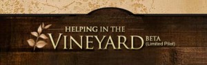 vineyard