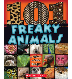 N101Freakkyanimals
