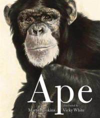 Nape