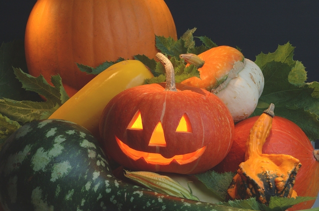 bigstock_Pumpkin