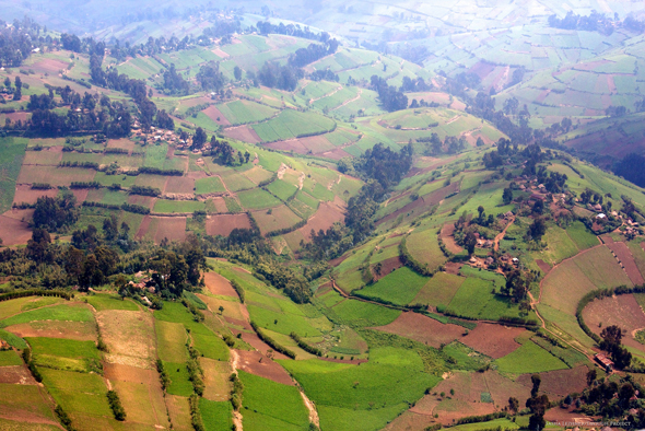 Masisi Region