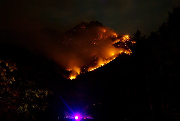 Alpinefire goldennecklace