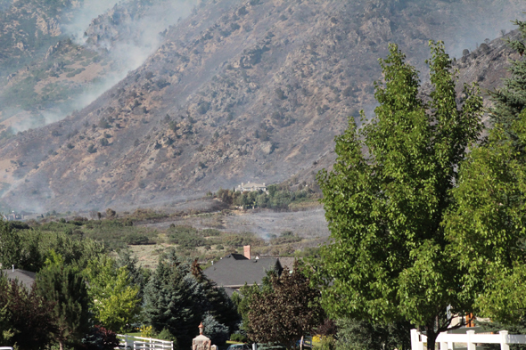 Alpinefire pattersonhomeandylongview