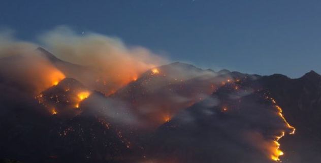 Quail Fire