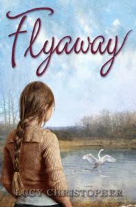 N flyaway