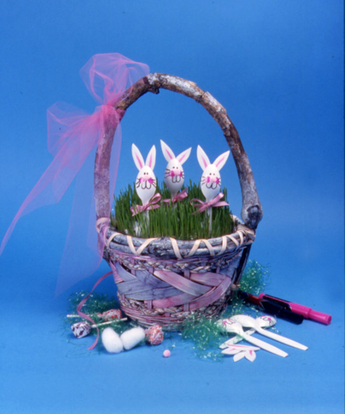 p49 spoonbunnies