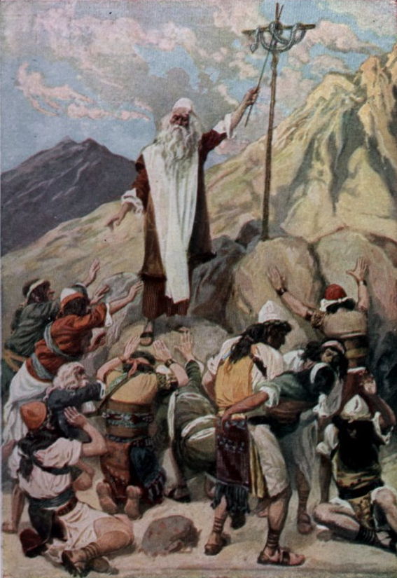 05-Tissot-Brazen Serpent-tissnake-trim