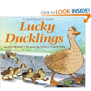 lucky ducklings