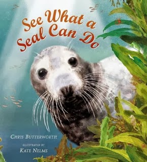 N Seal