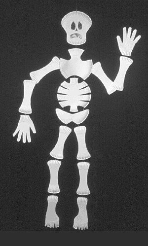 esqueleto