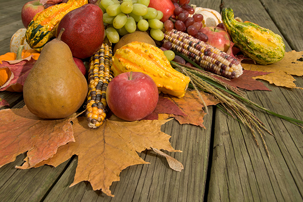 Fall Harvest
