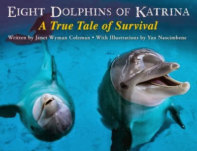 N dolphins