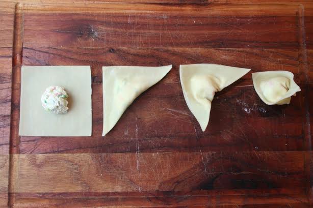 wonton 04