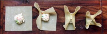 wonton 05