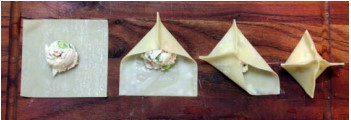wonton 06
