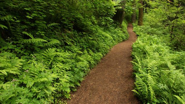 path